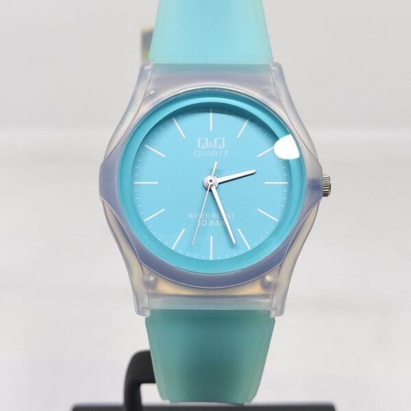 Reloj Q&Q VQ04J008Y