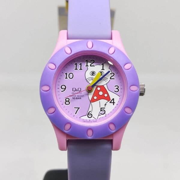 Reloj Q&Q VQ13J010Y
