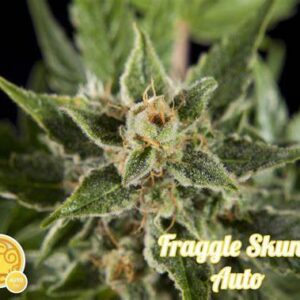Semillas Philosopher Seeds Fraggle Skunk Auto x4