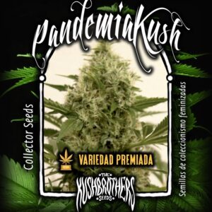 Semillas The Kush Brothers Seeds Pandemia Kush x1