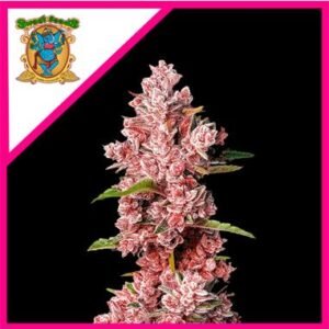 Semillas Sweet Seeds Tropicanna Poison Auto XL 3+1