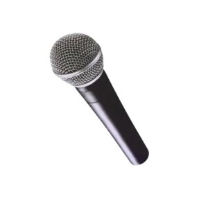 Microfono Karaoke HM-1710 Negro Con Cable