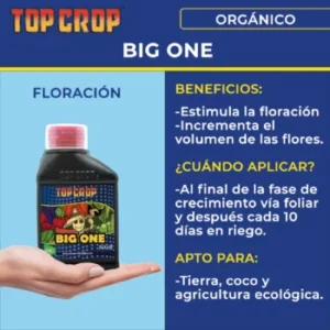 Fertilizante Floracion Top Crop Big One - 100 ml