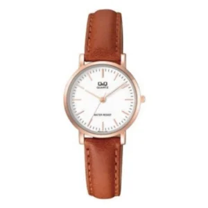 Reloj Q&Q Q979J101Y